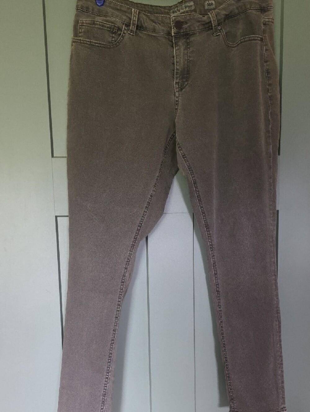 BKE Women's Jeans in Olive